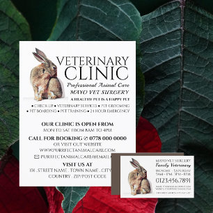 Rabbit, Veterinarian, Veterinary Service Business Card