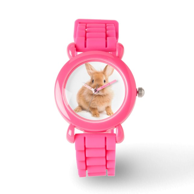 Rabbit Watch (Front)