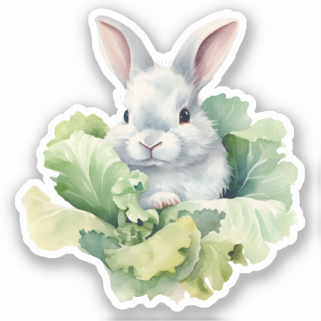 Rabbit with Cabbage (Front)