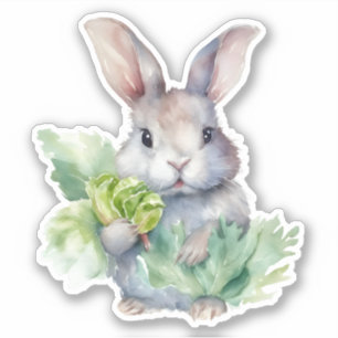 Rabbit with Cabbage