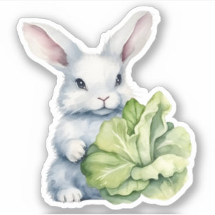 Rabbit with Cabbage