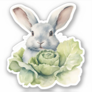 Rabbit with Cabbage