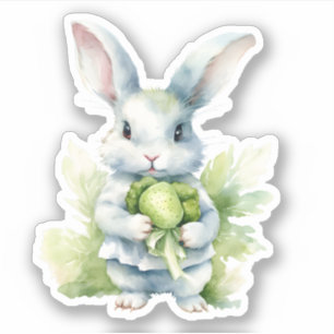 Rabbit with Cabbage