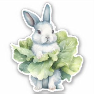 Rabbit with Cabbage