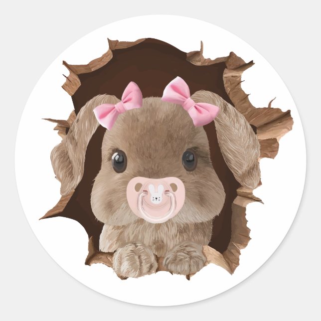 Rabbit with pacifier classic round sticker (Front)