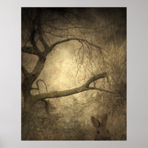 Rabbit Woods Poster