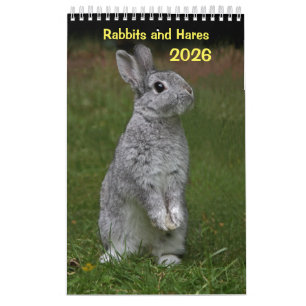 Rabbits and Hares Calendar 2025
