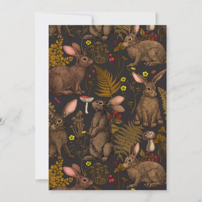 Rabbits and woodland flora 3 (Front)