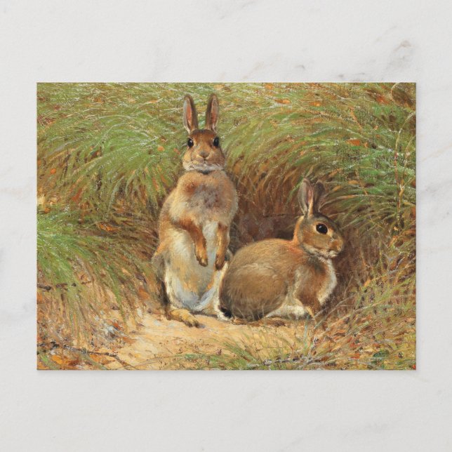 Rabbits by Victor Stoetzner-Lund Postcard (Front)