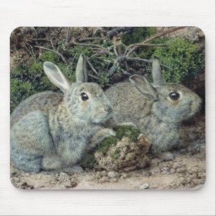 Rabbits Mouse Pad