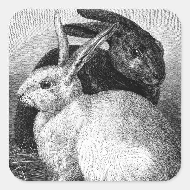 Rabbits Stickers (Front)
