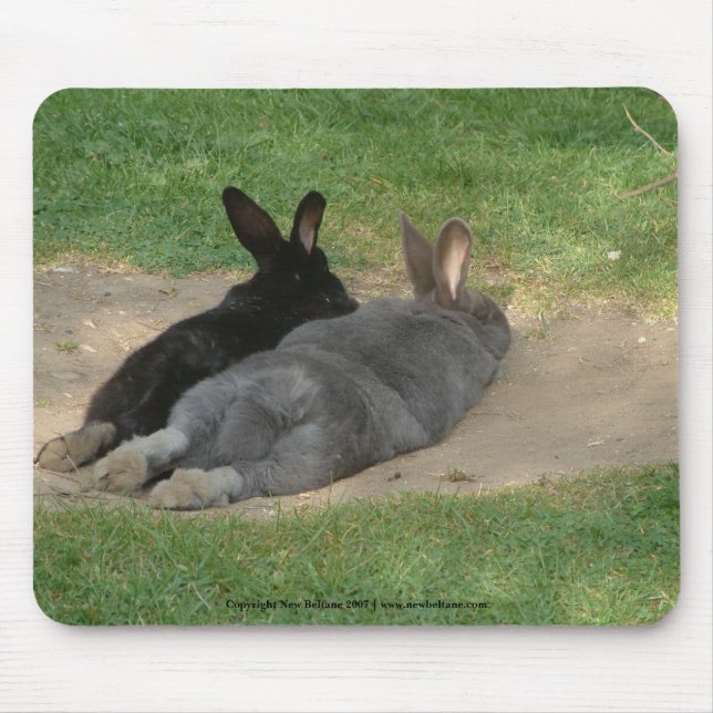 Rabbits stretched out - Mousemat. Customise. Mouse Pad (Front)