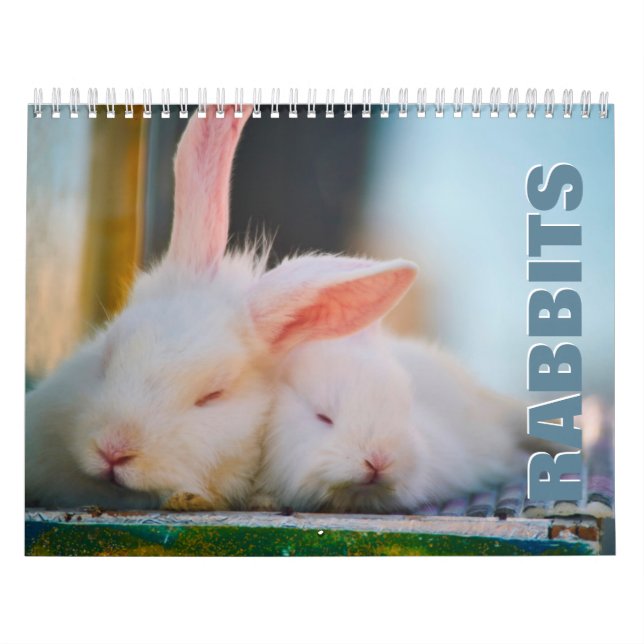Rabbits Wall Calendar (Cover)