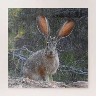Rabbits, wildlife, puzzle with gift box, puzzles