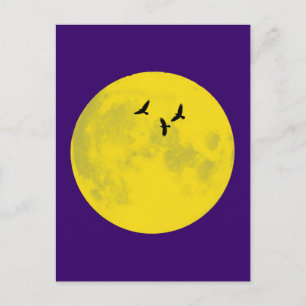 Raben Mond raven moon Postcard