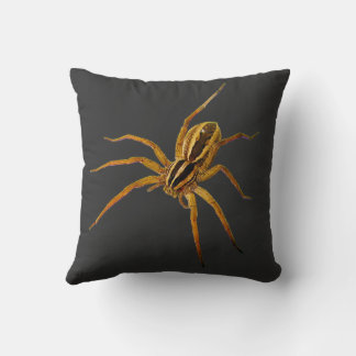Rabid Wolf Spider (Rabidosa rabida) Cushion