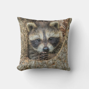 Raccon Nestled Inside a Tree Hollow Cushion