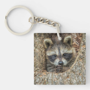 Raccon Nestled Inside a Tree Hollow Key Ring