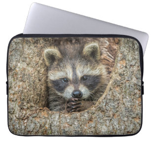 Raccon Nestled Inside a Tree Hollow Laptop Sleeve