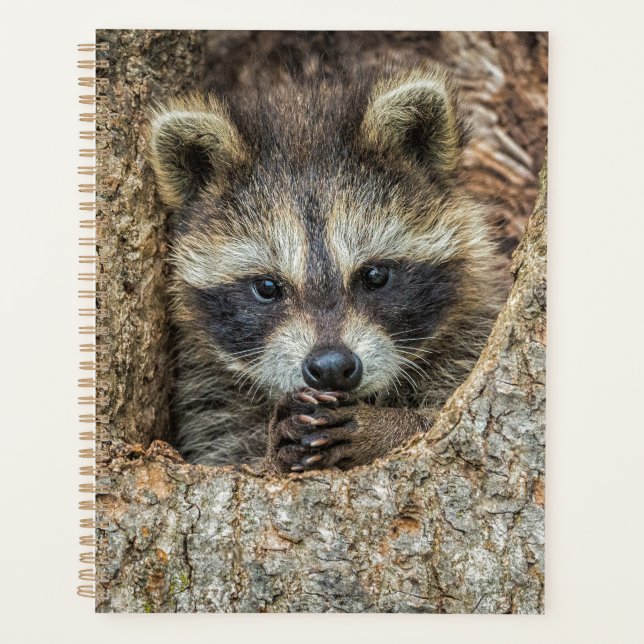 Raccon Nestled Inside a Tree Hollow Planner (Front)