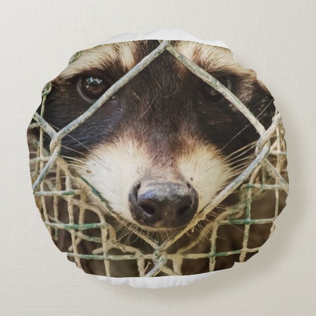 raccon  on round pillow (Back)