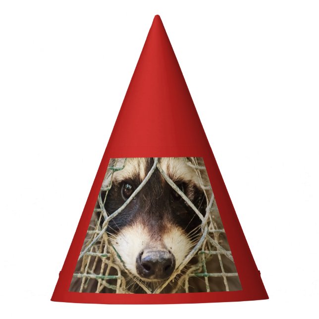 RACCON  PARTY HAT (Front)