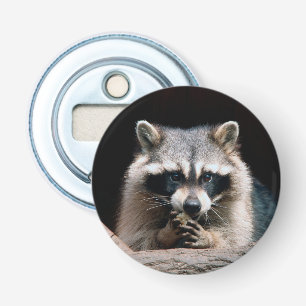 Raccoon 004 bottle opener