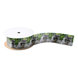 Raccoon_2014_1201 Satin Ribbon