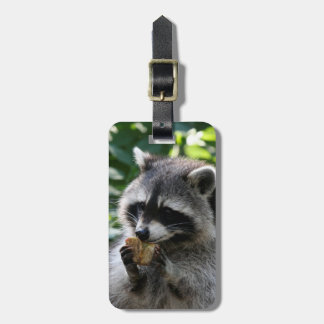 Raccoon_2015_0116 Luggage Tag