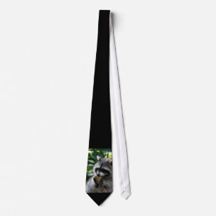 Raccoon_2015_0116 Tie