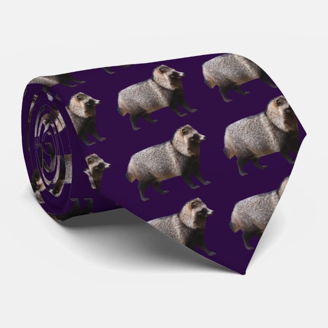 Raccoon dog tie (Rolled)