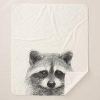 Raccoon Pencil Drawing
