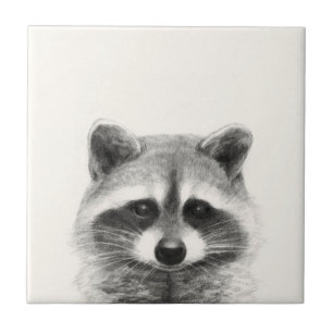 Raccoon Pencil Drawing Tile