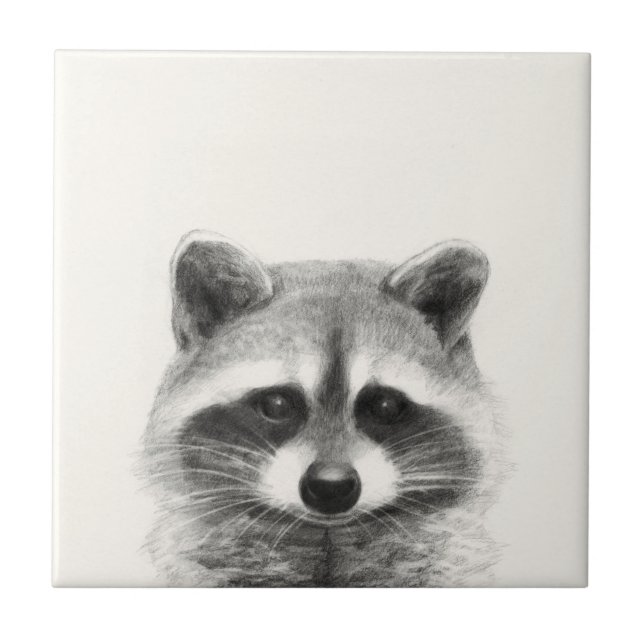 Raccoon Pencil Drawing Tile (Front)