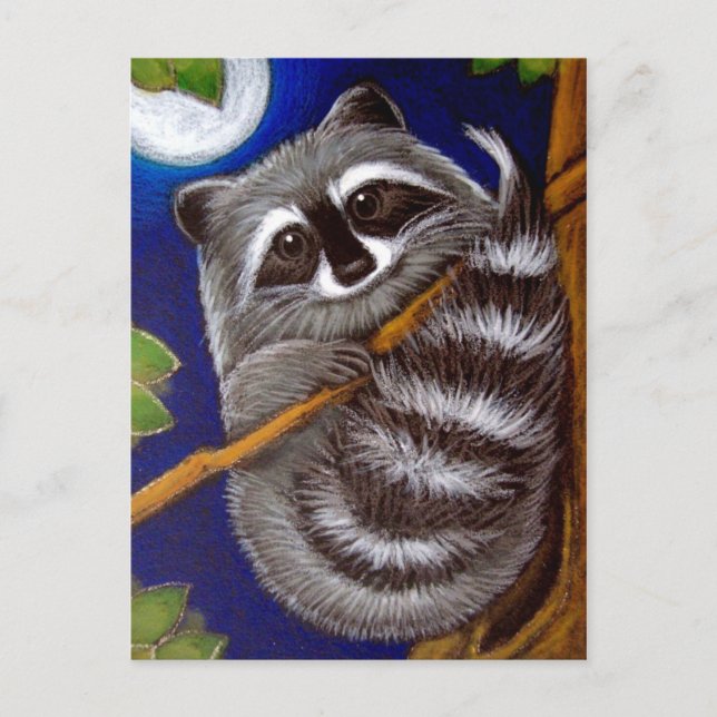 RACCOON Postcard (Front)