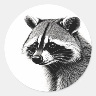 Raccoon sticker