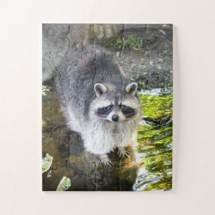 Raccoon Swimming in River Water Jigsaw Puzzle