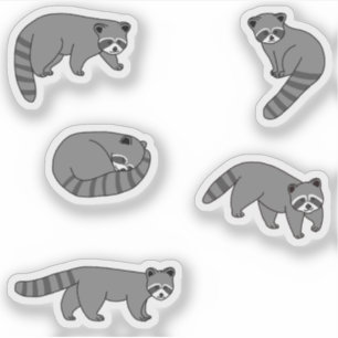 Raccoons
