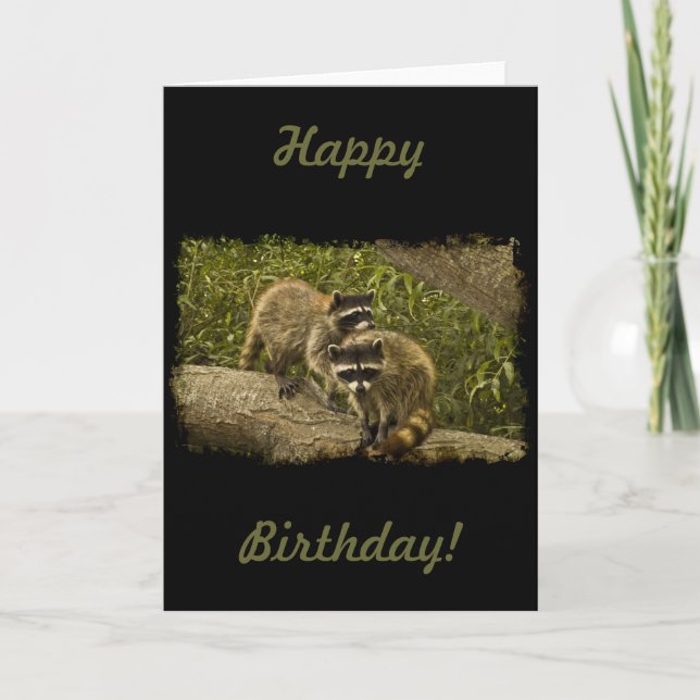 Raccoons Birthday Card (Front)