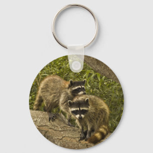 Raccoons Key Ring