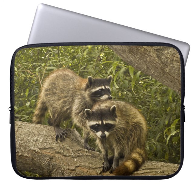Raccoons Laptop Sleeve (Front)