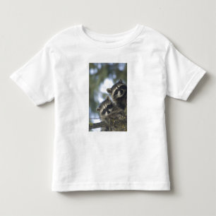 Raccoons Procyon Lotor) of Fish Lake, Central Toddler T-Shirt