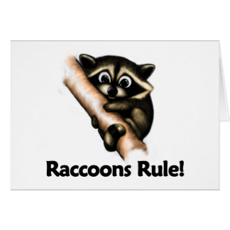 Raccoons Rule!