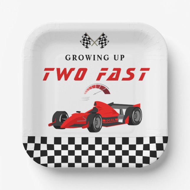 Race Car Racing Birthday Party Napkins Paper Plate (Front)