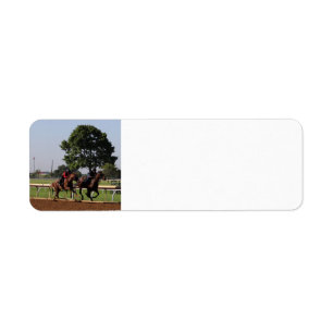 Race horse