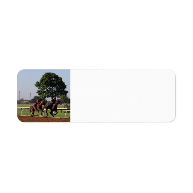 Race horse (Front)