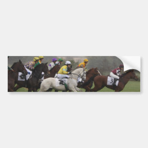Race Horse Field Bumper Sticker