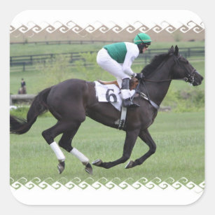 Race Horse Galloping Stickers