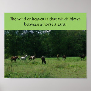 Race Horse Rescue Support Poster