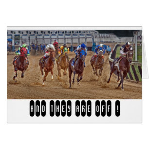 Race Horses Thoroughbreds